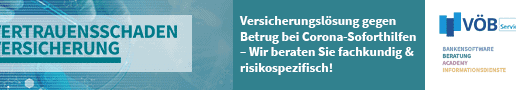 Vertrauensschadenversicherung-voeb