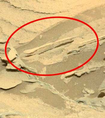 Wir erkennen Muster, die es gar nicht gibt: Der "schwebende Löffel auf dem Mars"NASA/JPL-Caltech/MSSS