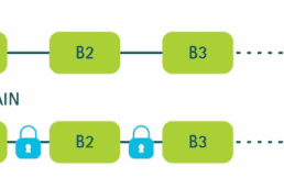 Blockchain-editable-730