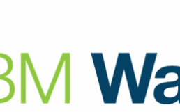 IBM-Watson-Logo-700