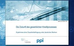 ibi-ppi-Studie-Die-Zukunft-des-gewerblichen-Kreditprozesses-516
