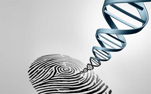 digitalista-bigstock-Genetic-Fingerprinting-identity-114137795-516