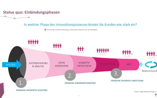 Insight-Befragung Kundenintegration (3)