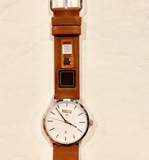 Biometric-sensor-payment-watch-strap