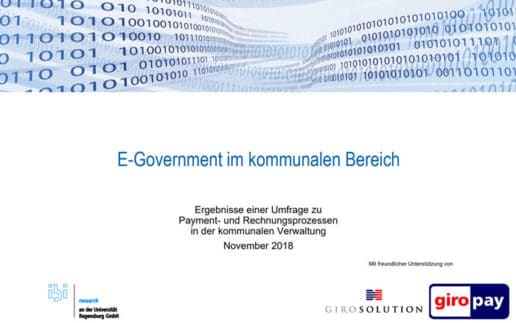 ibi-research-E-Gov-Payment-700