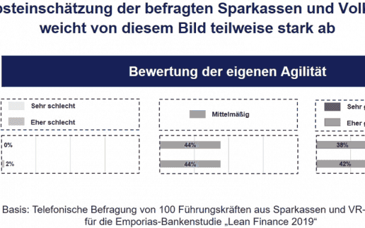 Selbsteinschaetzung-Agilitaet-1140