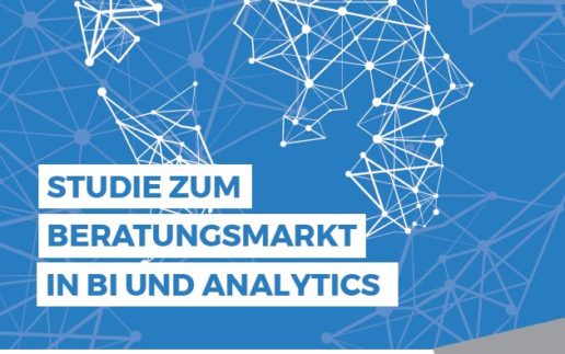 TDWI-Studie_Beratungsmarkt_Titel