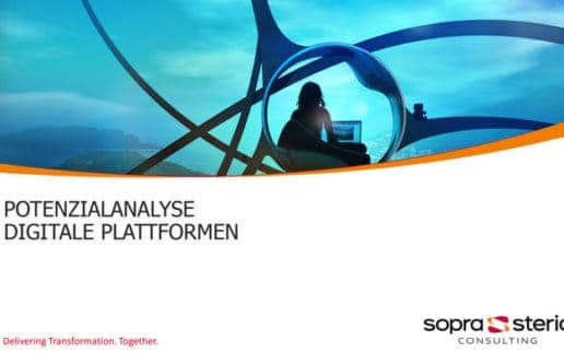 Potentialanalyse-Digitale-Plattformen-700