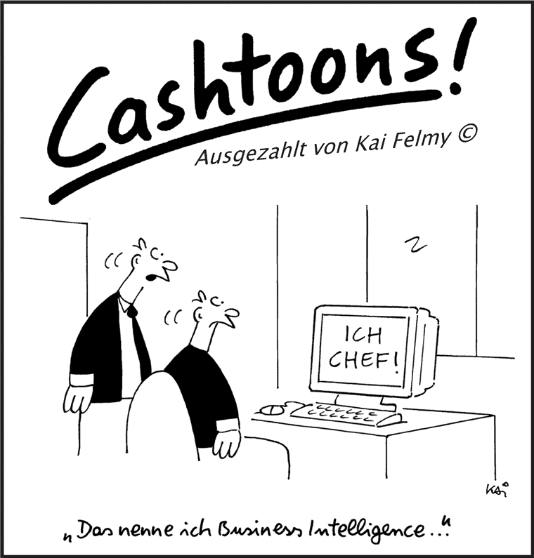 Business Intelligence - Cashtoons von Kai Felmy
