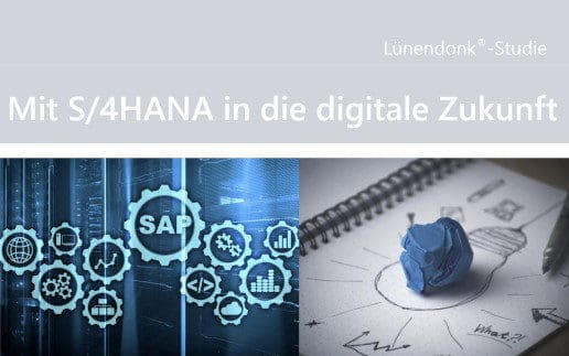 Beitrag SAP HANA