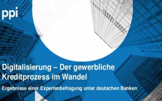 ppi_kreditprozess_studie_cover