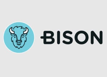 Bison