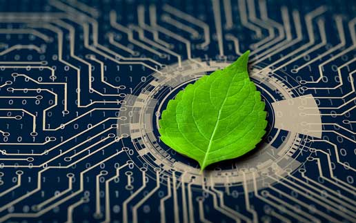 GreenCoding – weniger CO2-Emissionen durch effiziente Software: 7 Tipps