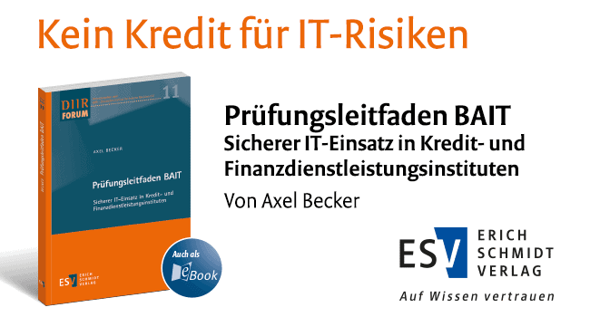 ESV-IT-Risiken