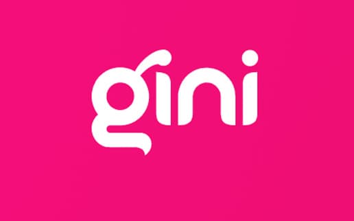 Gini-516