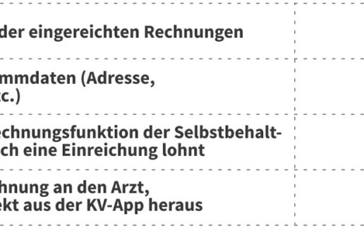 Gini-PKV-App-Studie-1140