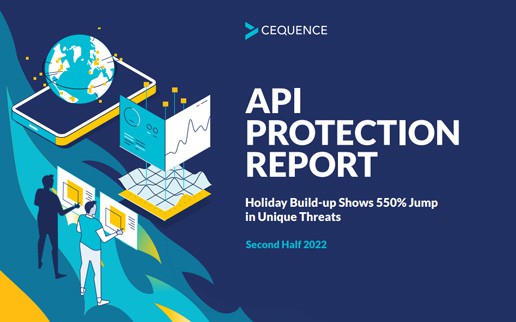 API Protection Report: Suchanfragen für Schatten-APIs steigen um 900 %