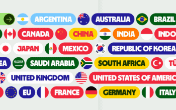 Wise G20 Studien Grafik mit Länder Namen und Flaggen auf grauem Hintergrund.